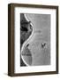 Swimming pool-Jure Kravanja-Framed Photographic Print