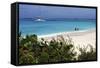 Swimming the Waters of Prickly Pear Island with Festiva Sailing Vacations-Lynn Seldon-Framed Stretched Canvas