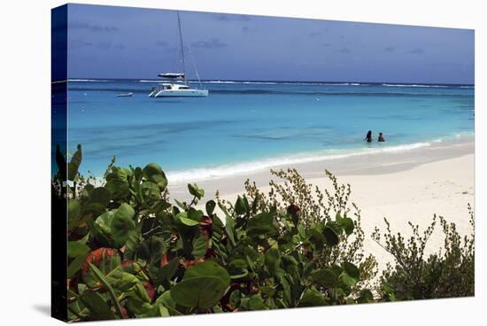 Swimming the Waters of Prickly Pear Island with Festiva Sailing Vacations-Lynn Seldon-Stretched Canvas