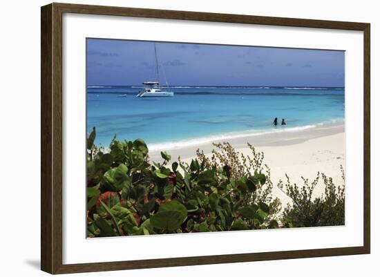 Swimming the Waters of Prickly Pear Island with Festiva Sailing Vacations-Lynn Seldon-Framed Photographic Print