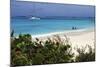 Swimming the Waters of Prickly Pear Island with Festiva Sailing Vacations-Lynn Seldon-Mounted Photographic Print