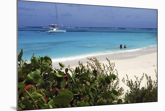 Swimming the Waters of Prickly Pear Island with Festiva Sailing Vacations-Lynn Seldon-Mounted Photographic Print