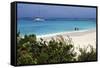 Swimming the Waters of Prickly Pear Island with Festiva Sailing Vacations-Lynn Seldon-Framed Stretched Canvas