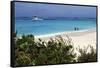Swimming the Waters of Prickly Pear Island with Festiva Sailing Vacations-Lynn Seldon-Framed Stretched Canvas