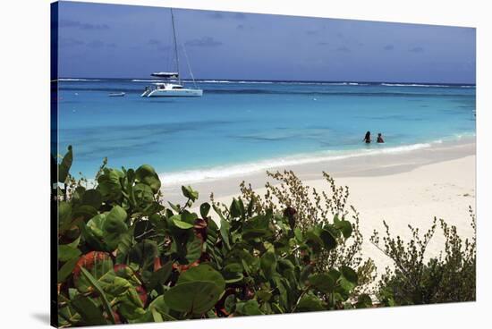 Swimming the Waters of Prickly Pear Island with Festiva Sailing Vacations-Lynn Seldon-Stretched Canvas