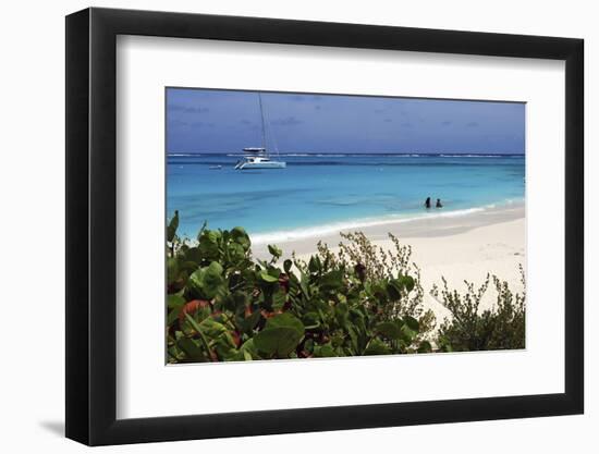 Swimming the Waters of Prickly Pear Island with Festiva Sailing Vacations-Lynn Seldon-Framed Photographic Print