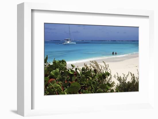 Swimming the Waters of Prickly Pear Island with Festiva Sailing Vacations-Lynn Seldon-Framed Photographic Print