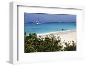 Swimming the Waters of Prickly Pear Island with Festiva Sailing Vacations-Lynn Seldon-Framed Photographic Print