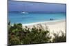 Swimming the Waters of Prickly Pear Island with Festiva Sailing Vacations-Lynn Seldon-Mounted Photographic Print