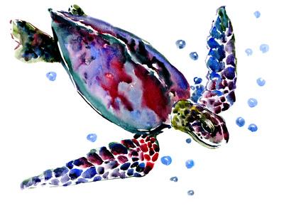https://imgc.allpostersimages.com/img/posters/swimming-turtle_u-L-F9JR5O0.jpg?artPerspective=n