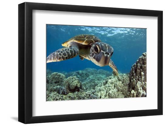 Premium Photographic Print, , large