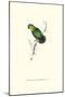 Swindern's Parakeet - Agapornis Swindernianus-Edward Lear-Mounted Art Print