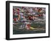 Swindon, Participants in a Triathalon Competition, Swindon, England, England-Paul Harris-Framed Photographic Print