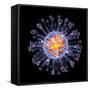 Swine Flu Virus Particle, Artwork-PASIEKA-Framed Stretched Canvas