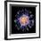 Swine Flu Virus Particle, Artwork-PASIEKA-Framed Premium Photographic Print