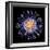 Swine Flu Virus Particle, Artwork-PASIEKA-Framed Premium Photographic Print