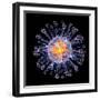 Swine Flu Virus Particle, Artwork-PASIEKA-Framed Premium Photographic Print