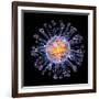 Swine Flu Virus Particle, Artwork-PASIEKA-Framed Photographic Print