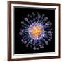 Swine Flu Virus Particle, Artwork-PASIEKA-Framed Photographic Print