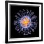 Swine Flu Virus Particle, Artwork-PASIEKA-Framed Photographic Print
