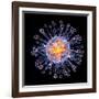 Swine Flu Virus Particle, Artwork-PASIEKA-Framed Photographic Print