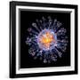 Swine Flu Virus Particle, Artwork-PASIEKA-Framed Photographic Print