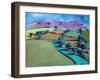 Swineyard Hill (acrylic on canvas, 2021)-Paul Powis-Framed Giclee Print