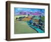 Swineyard Hill (acrylic on canvas, 2021)-Paul Powis-Framed Premium Giclee Print