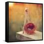 Swing and Nest-Mandy Lynne-Framed Stretched Canvas