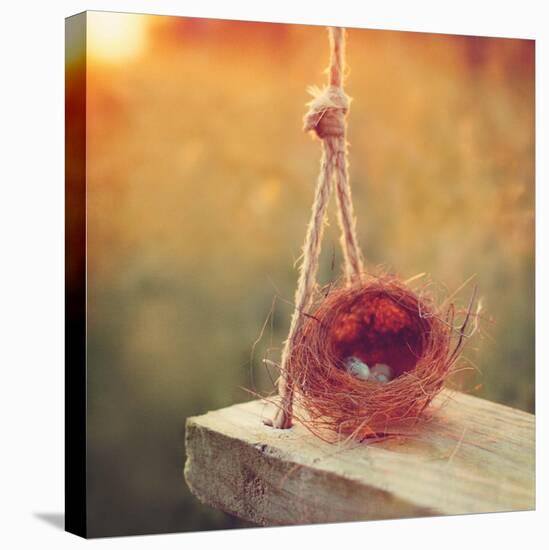 Swing and Nest-Mandy Lynne-Stretched Canvas