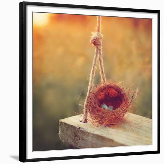 Swing and Nest-Mandy Lynne-Framed Premium Giclee Print