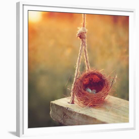 Swing and Nest-Mandy Lynne-Framed Premium Giclee Print