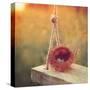 Swing and Nest-Mandy Lynne-Stretched Canvas