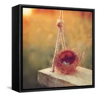 Swing and Nest-Mandy Lynne-Framed Stretched Canvas