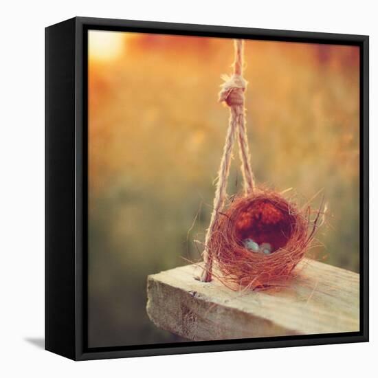 Swing and Nest-Mandy Lynne-Framed Stretched Canvas