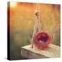 Swing and Nest-Mandy Lynne-Stretched Canvas