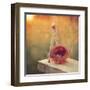 Swing and Nest-Mandy Lynne-Framed Art Print