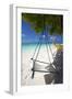 Swing and Traditional Boat on Tropical Beach, Maldives, Indian Ocean, Asia-Sakis Papadopoulos-Framed Photographic Print