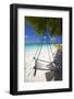 Swing and Traditional Boat on Tropical Beach, Maldives, Indian Ocean, Asia-Sakis Papadopoulos-Framed Photographic Print