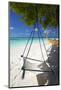 Swing and Traditional Boat on Tropical Beach, Maldives, Indian Ocean, Asia-Sakis Papadopoulos-Mounted Photographic Print