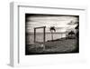 Swing at Sunset-Philippe Hugonnard-Framed Photographic Print