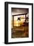 Swing Beach at Sunset-Philippe Hugonnard-Framed Photographic Print