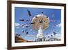 Swing Carousel, Cannstatter Wasen (Volksfest), Stuttgart, Baden Wuerttemberg, Germany, Europe-Markus Lange-Framed Photographic Print