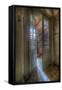 Swing Doors-Nathan Wright-Framed Stretched Canvas