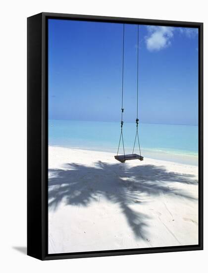 Swing on the Beach Above Palm Tree Shadow-null-Framed Stretched Canvas