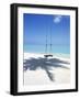 Swing on the Beach Above Palm Tree Shadow-null-Framed Photographic Print