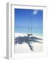 Swing on the Beach Above Palm Tree Shadow-null-Framed Photographic Print