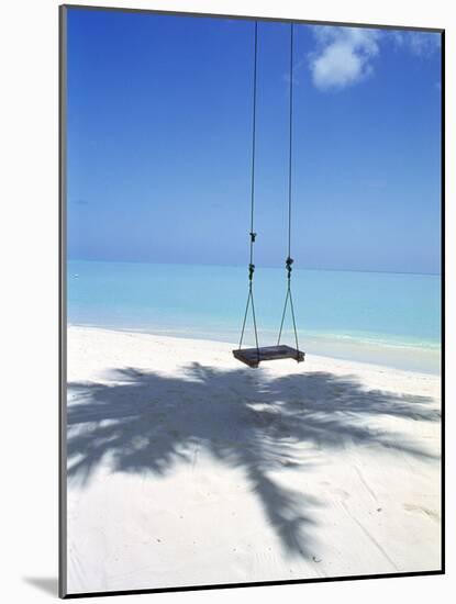 Swing on the Beach Above Palm Tree Shadow-null-Mounted Photographic Print