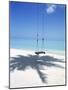 Swing on the Beach Above Palm Tree Shadow-null-Mounted Photographic Print