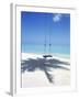 Swing on the Beach Above Palm Tree Shadow-null-Framed Photographic Print